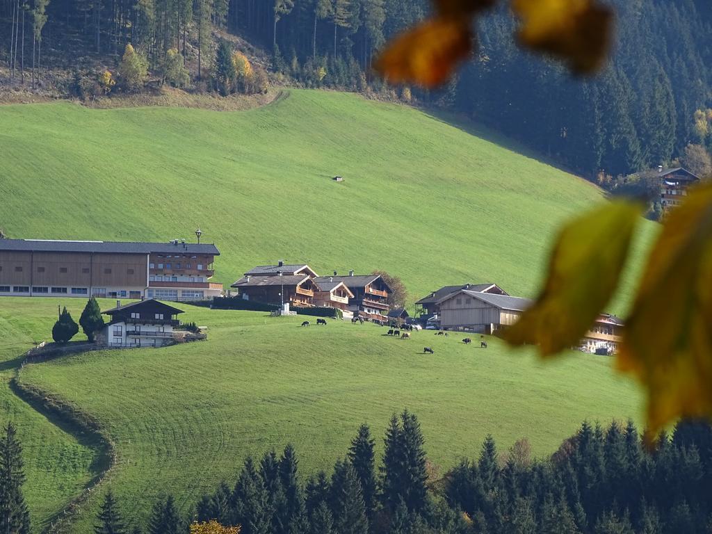 Anna'S Appartement Alpbach Zewnętrze zdjęcie