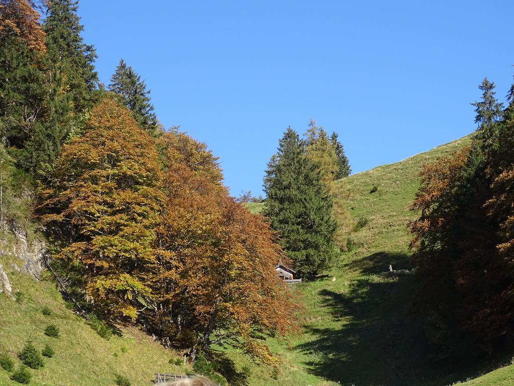 Anna'S Appartement Alpbach Zewnętrze zdjęcie