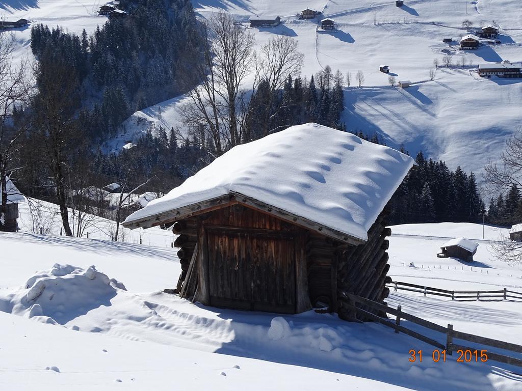 Anna'S Appartement Alpbach Zewnętrze zdjęcie