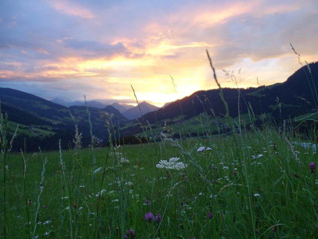 Anna'S Appartement Alpbach Zewnętrze zdjęcie