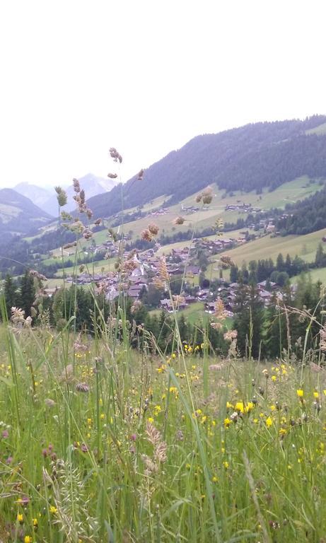 Anna'S Appartement Alpbach Zewnętrze zdjęcie