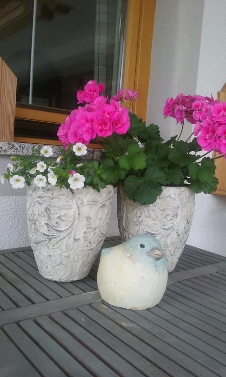 Anna'S Appartement Alpbach Zewnętrze zdjęcie