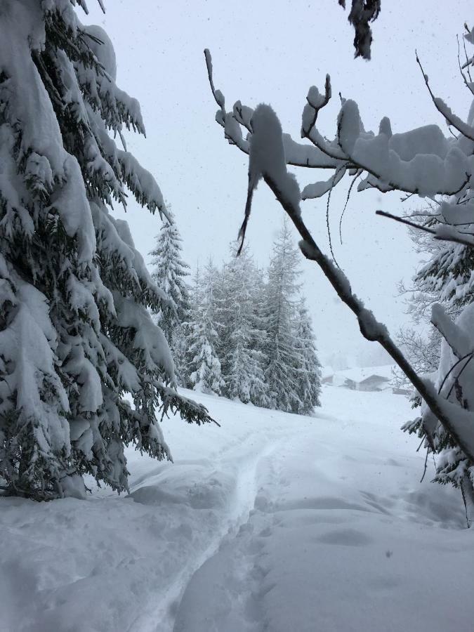 Anna'S Appartement Alpbach Zewnętrze zdjęcie