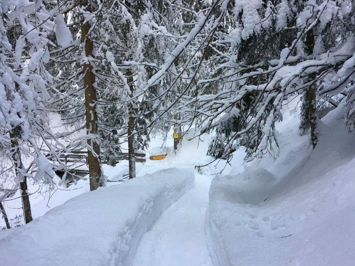 Anna'S Appartement Alpbach Zewnętrze zdjęcie